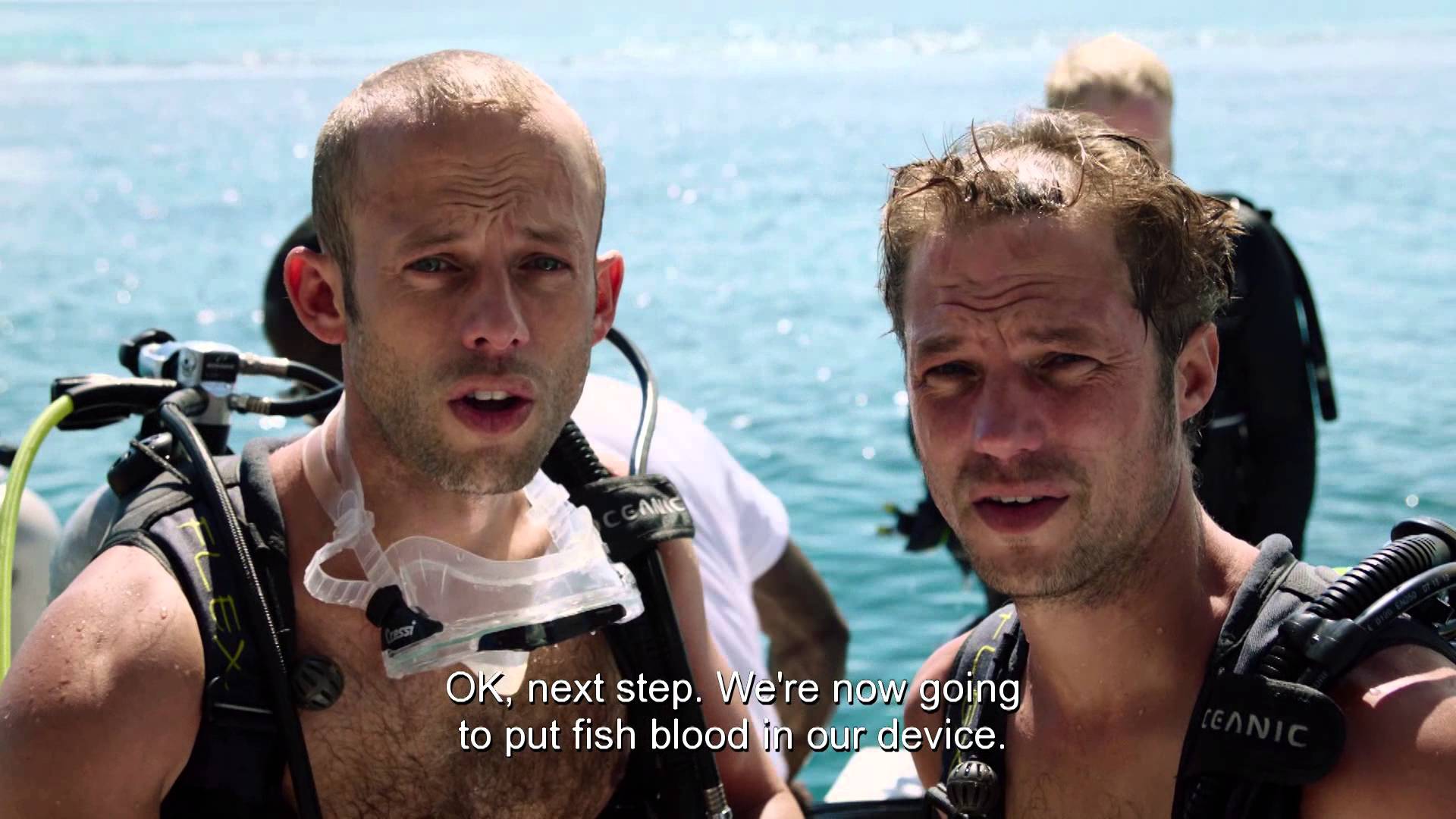 Velký TEST: Jak žraloci reagují na lidskou krev?